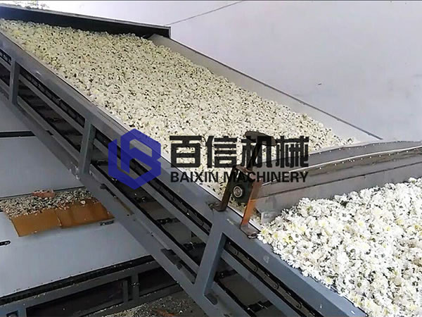 菊花烘干機(jī)烘干現(xiàn)場